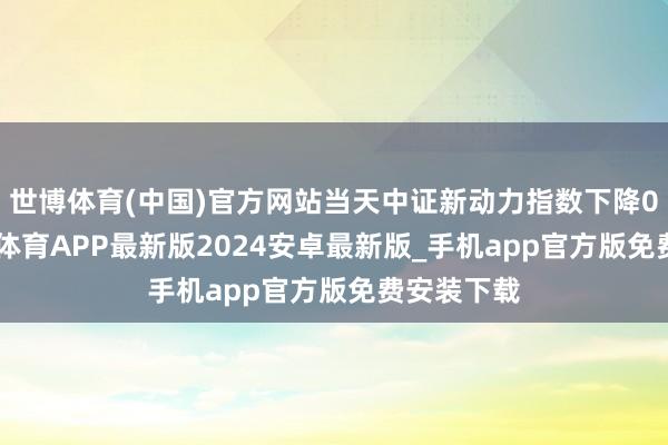 世博体育(中国)官方网站当天中证新动力指数下降0.5%-世博体育APP最新版2024安卓最新版_手机app官方版免费安装下载